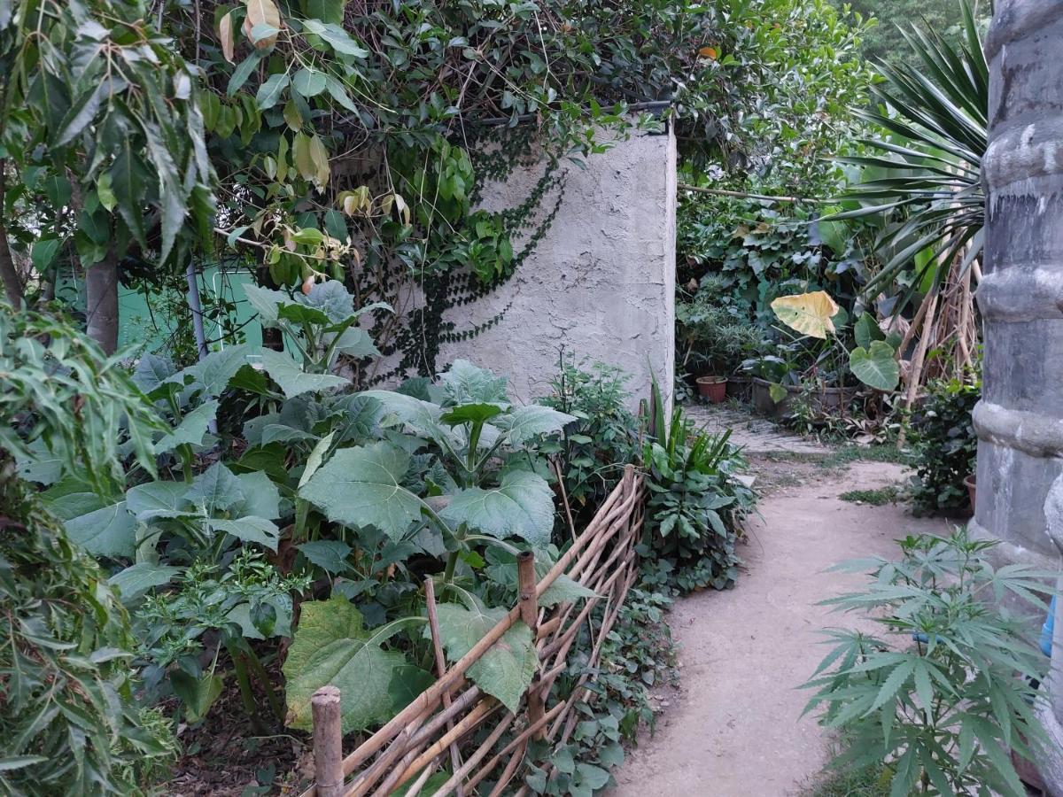 Thong Family Homestay Chiangdao Chiang Dao Exterior photo